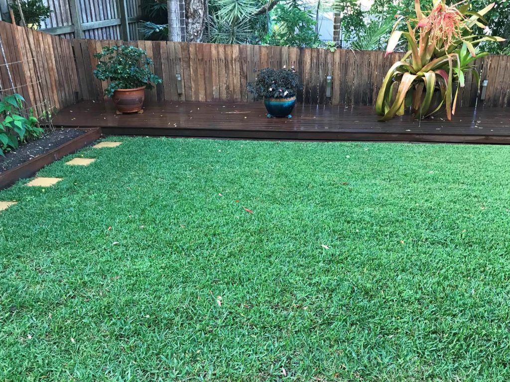 Top-Turf-2